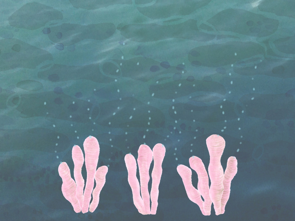 Un frame dal video "Sirene" di Daria Tommasi.